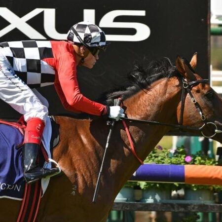 Injury puts dent in Schabau’s 2019 Cup bid