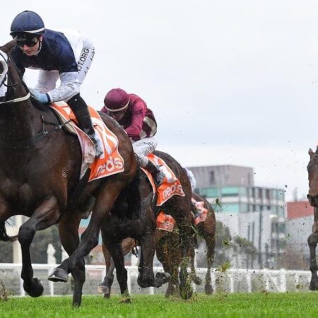 Change of plans for Cup-bound mare Oceanex