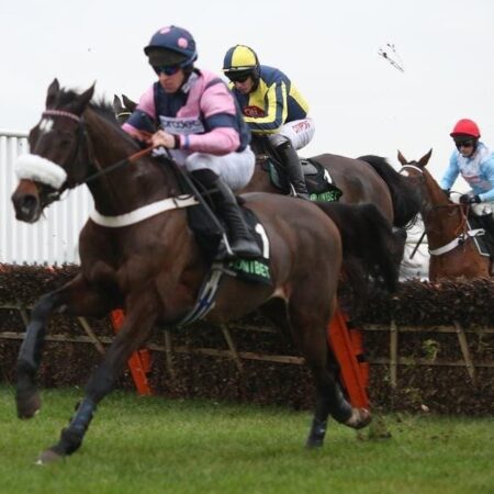 Melbourne Cup dream for Verdana Blue