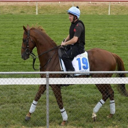 Trevor-Jones rues unlucky Verdon Cup run