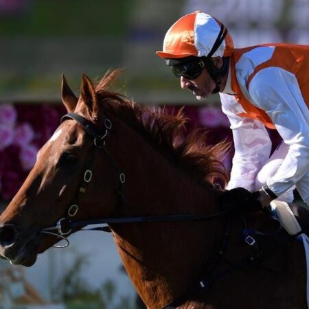 O’Brien vows to follow similar Cup plan
