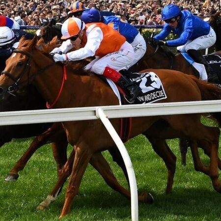 What age is best for Melbourne Cup winners?