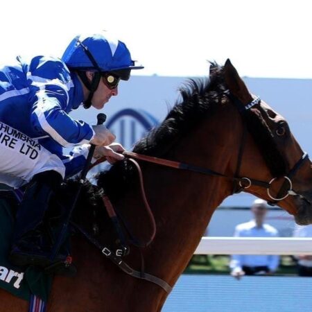 Melbourne Cup likely next run for Withhold