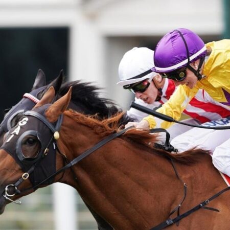 No Melbourne Cup weight penalty for Wolfe
