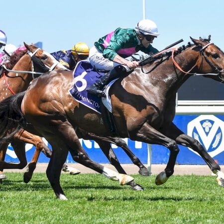 Garachico stuns as rank outsider in Australian Heritage Cup