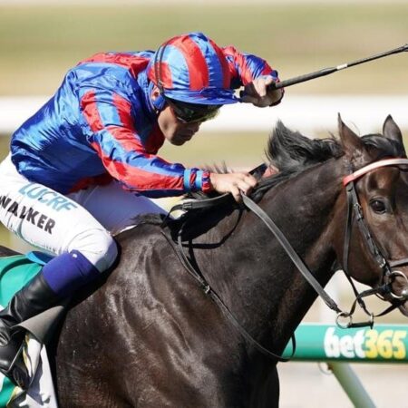 Prince Of Arran too strong in Geelong Cup