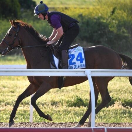 Irish chase Melbourne Cup berth at Geelong