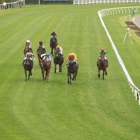 Count Octave ruled out of Cups
