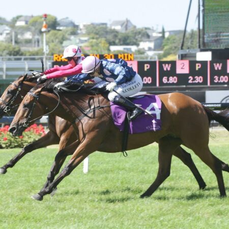 Flemington test for Glory Days