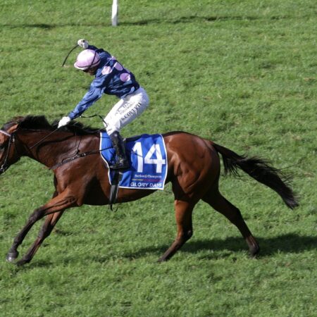 Moonee Valley Gold Cup for Glory Days