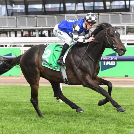 Gold Trip blows away his Turnbull Stakes rivals