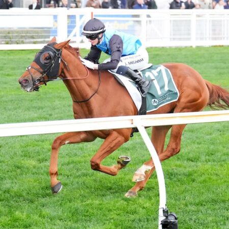 Caulfield Cup weight penalties dished out after group wins