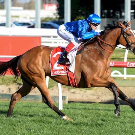 Why Hartnell should not be running in the Melbourne Cup