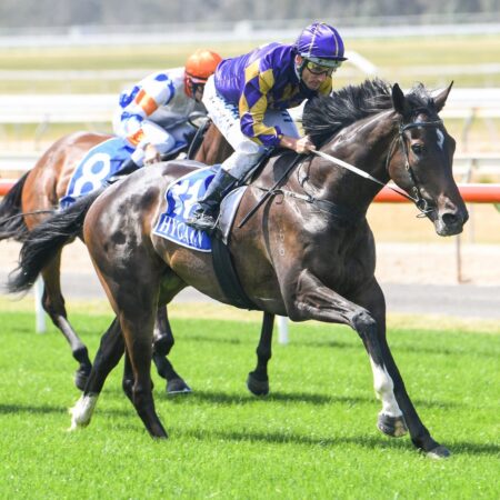 Spring targets for son of Jakkalberry