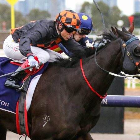 Horrifying wins stirring Flemington battle