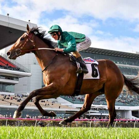 Trip Weir’s Worry for Humidor in the Cup