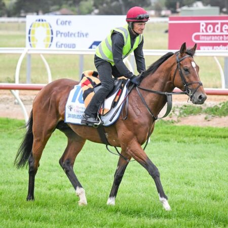 Melbourne Cup favourite Jan Brueghel ruled out