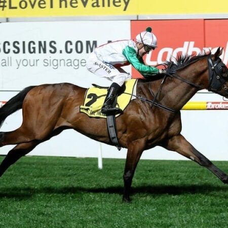 Snow to press forward in hot Makybe Diva