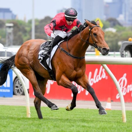 Just Fine claims Melbourne Cup golden ticket in Bart Cummings