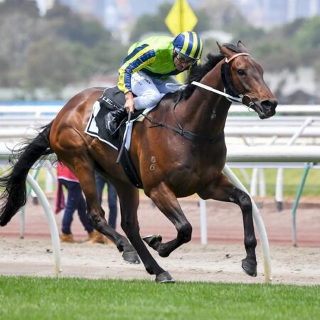 How have Lexus Archer Stakes winners fared in the Melbourne Cup?