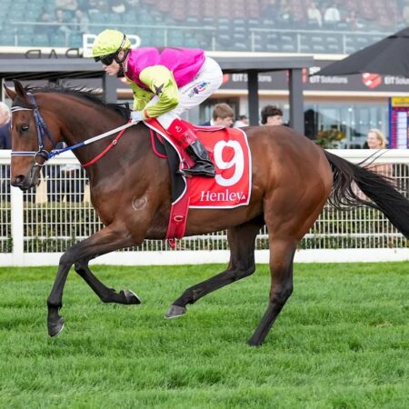 Which horse has the longest 2024 Melbourne Cup odds?