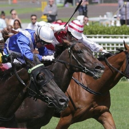 Melbourne Cup plan mapped out for Ladies First
