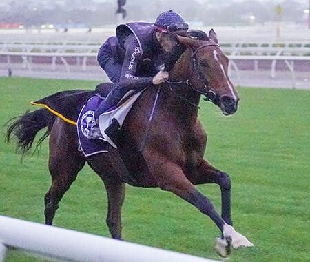 Loft ruled out of Melbourne Cup