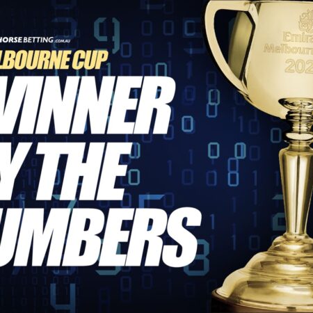 The 2024 Melbourne Cup winner by the numbers & statistics