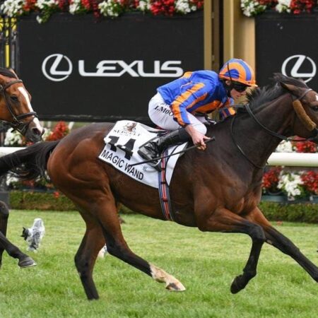 Irish wave Magic Wand in Mackinnon Stakes