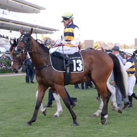 Mark Twain progressing well after career-threatening injury