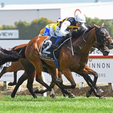 Tendon injury ends Melbourne Cup campaign for Mark Twain