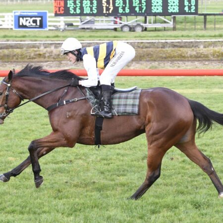 Mark Twain takes first step on long Melbourne Cup road