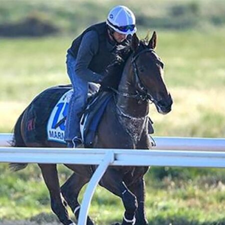 Proof will be in the pudding for Marmelo – Hughie Morrison