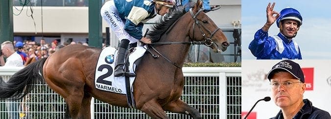 Marmelo Melb Cup 2017