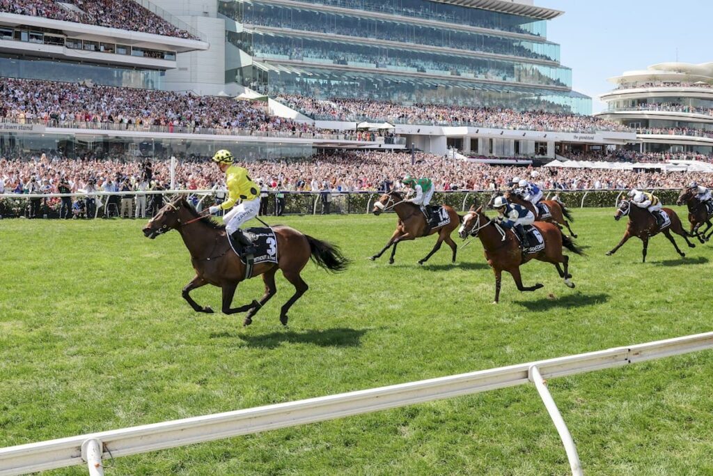 The current image has no alternative text. The file name is: Melbourne-Cup-Day-Replays.jpg