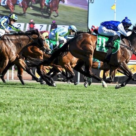 Same-race multi tips for the 2017 Melbourne Cup