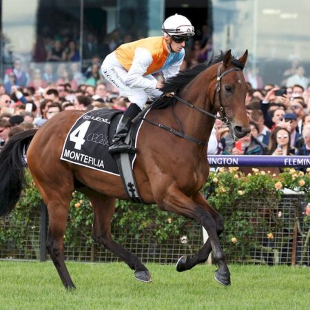 Montefilia joins Chris Waller stable