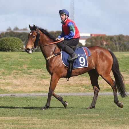 Big spring tipped for Team Rogerson