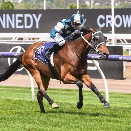 Brayden Star and Muramasa withdrawn from Melbourne Cup