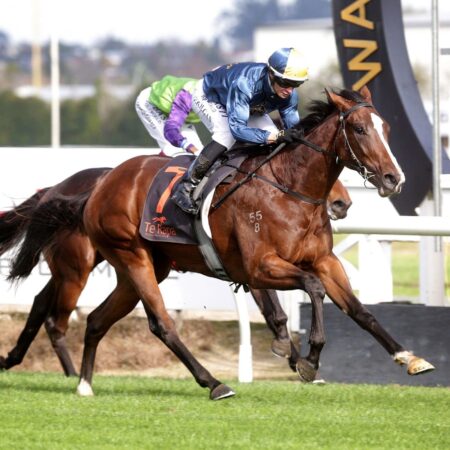 Mustang Valley on song for Guineas