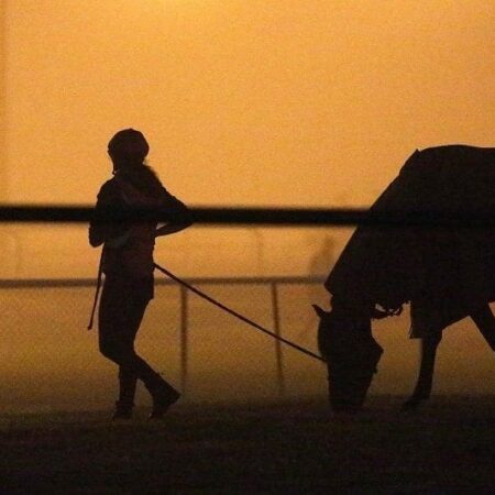 Withold takes another step to Melb Cup