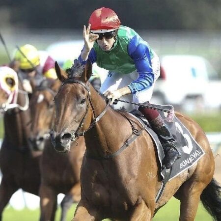 Expert rates Bonneval as NZ’s best