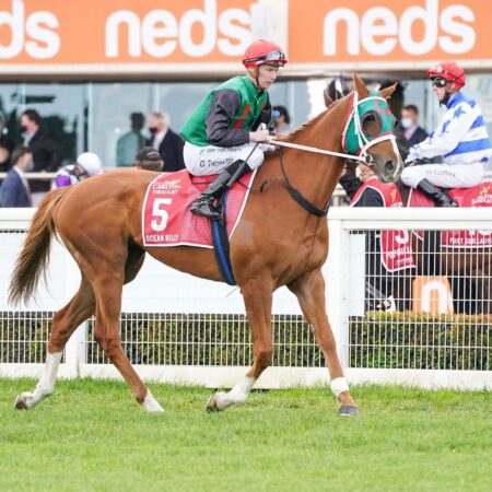 Ocean Billy takes Rotorua to the Melbourne Cup