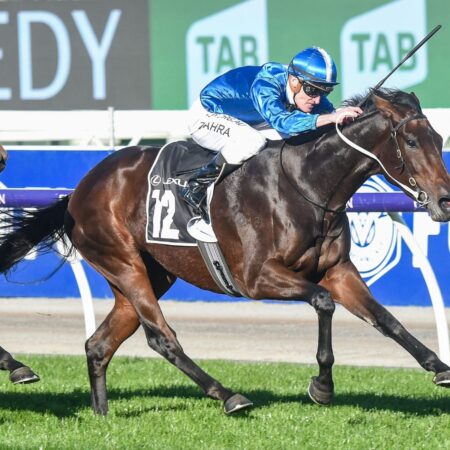 Turnbull Stakes next for Oceanex