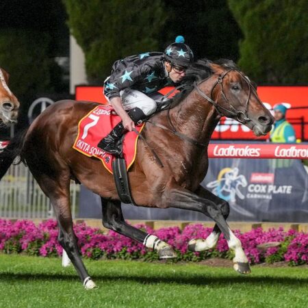Okita Soushi cops weight penalty for Melbourne Cup