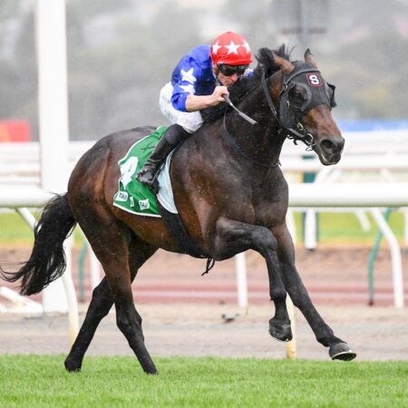 Melbourne Cup sabotaged by climate terrorist group