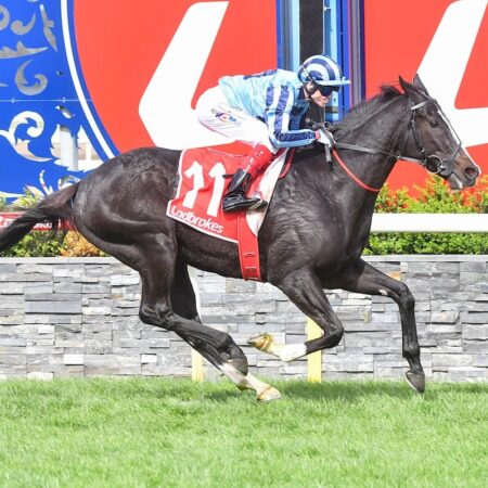 Onesmoothoperator runs away with 2024 Geelong Cup