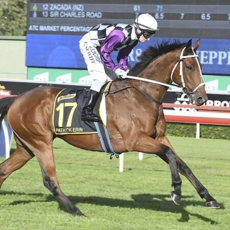 Melbourne Cup dream still alive for Patrick Erin