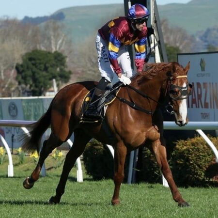 Cautious approach with Pentathlon