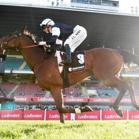 Point King to chase Melbourne Cup berth